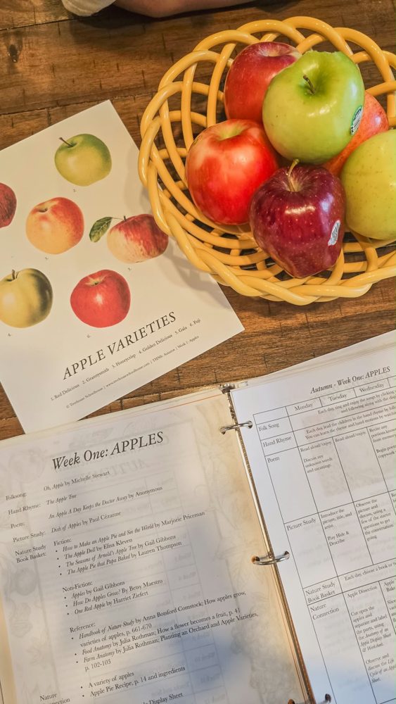 Apple study printables and fresh apples